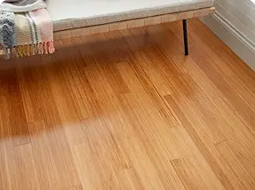 Bamboo Wood Flooring