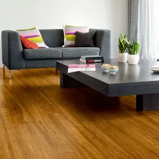 Living room Bamboo Flooring